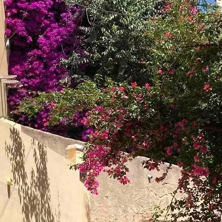 Studio De Charme Au Coeur Du Village De Cargèse